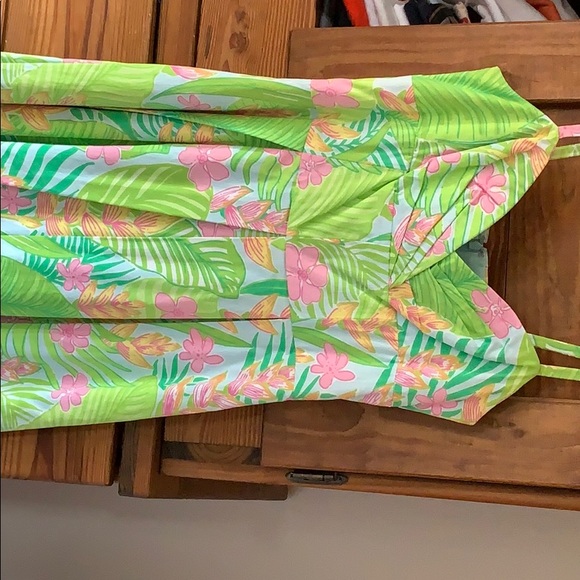 Lilly Pulitzer Dress - Picture 2 of 4